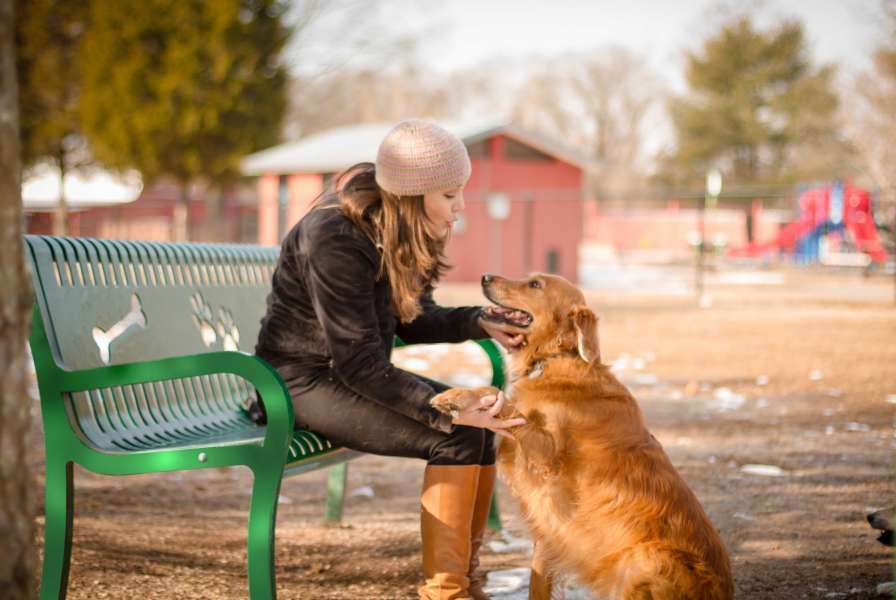 Us bp tbark 954 s6 pooch perch bench lifestyle 2