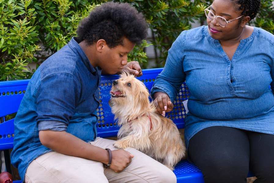 Dog with family 1